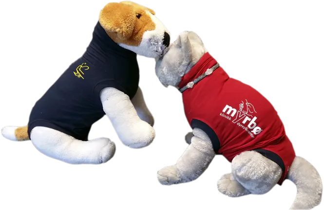 Hovedbilde MPS BODY MED egen logo