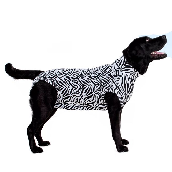Hovedbilde Zebrabody Hund MPS