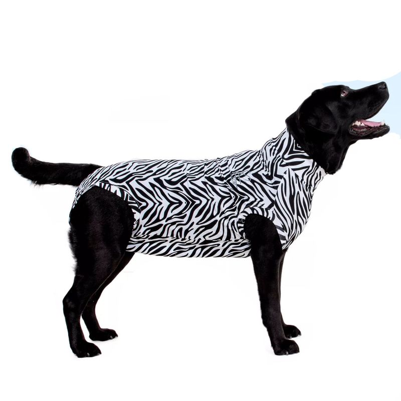 Zebrabody Hund MPS