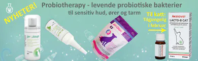 kløe, analkjertler; akutt diare;  diaré