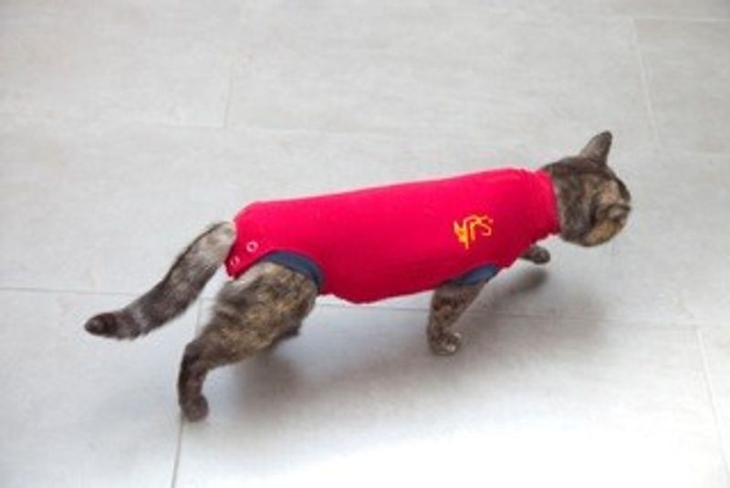 MPS BODY uten egen logo